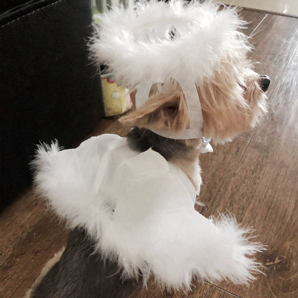 Halloween Pet Costume Feather Angel Wings Hat Apparel Outfits for Puppy Dog Cat Christmas Holiday Festival Cosplay Dress Up Animals & Pet Supplies > Pet Supplies > Cat Supplies > Cat Apparel pluoda   