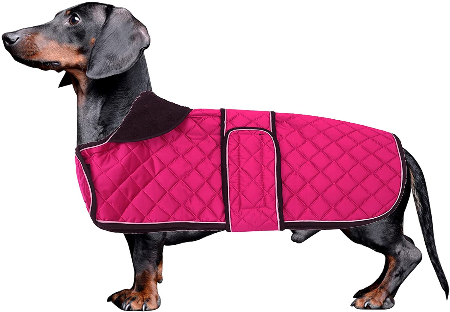 Morezi Dachshund Coats, Dachshund Coat, Coat for Dachshund, Dog Winter Coat with Padded Fleece Lining, Outdoor Dog Apparel with Adjustable Bands - Navy - L Animals & Pet Supplies > Pet Supplies > Dog Supplies > Dog Apparel Morezi Pink X-Small(Back: 12"-13"in) 