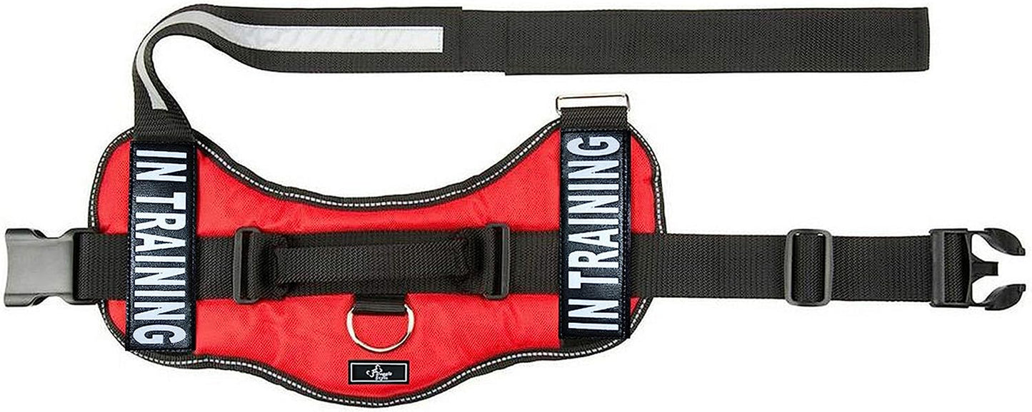 Service Dog Harness Vest Cool Comfort Nylon for Dogs Small Medium Large Girth, Purchase Comes with 2 in Training Reflective Patches. Please Measure Dog before Ordering (Girth 24-31", Red) Animals & Pet Supplies > Pet Supplies > Dog Supplies > Dog Apparel Doggie Stylz   