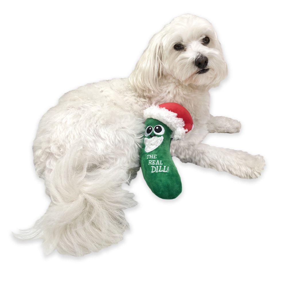 Vibrant Life Holiday Pickle Dog Toy with Squeaker for Light to Moderate Chewing Animals & Pet Supplies > Pet Supplies > Dog Supplies > Dog Toys Vibrant Life   