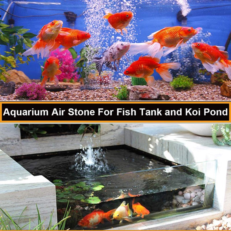 New Fish Tank Air Stone Disc Diffuser Aquarium Oxygen Bubbler Air Pump Animals & Pet Supplies > Pet Supplies > Fish Supplies > Aquarium Air Stones & Diffusers Enow-YL   