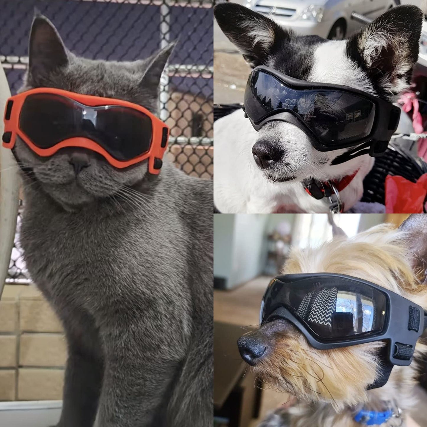 NAMSAN Small Dog Sunglasses UV Protection Goggles Doggy Eye Protection Cat Sunglasses Arc-Shaped Outdoor Puppy Goggles Anti-Fog Glasses for Pets over 5Lb Animals & Pet Supplies > Pet Supplies > Dog Supplies > Dog Apparel Namsan   