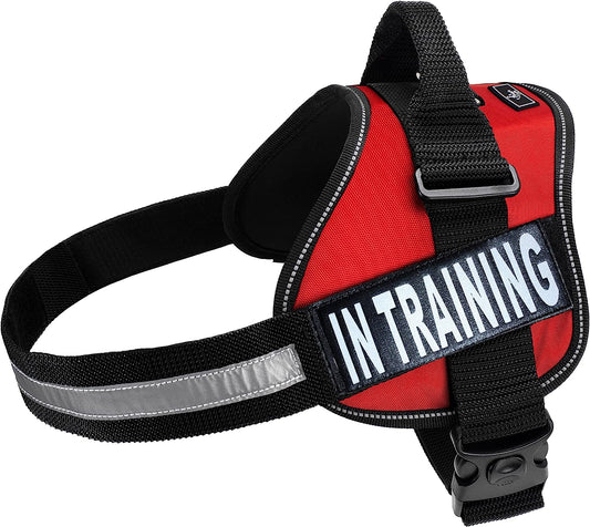 Service Dog Harness Vest Cool Comfort Nylon for Dogs Small Medium Large Girth, Purchase Comes with 2 in Training Reflective Patches. Please Measure Dog before Ordering (Girth 24-31", Red) Animals & Pet Supplies > Pet Supplies > Dog Supplies > Dog Apparel Doggie Stylz Red Girth 24-31" 