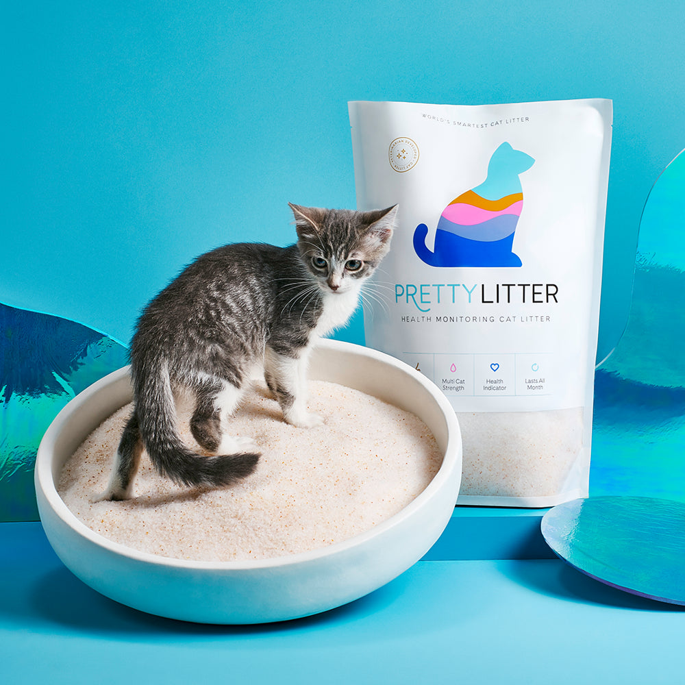 Prettylitter Health Monitoring Cat Litter, 8Lb Animals & Pet Supplies > Pet Supplies > Cat Supplies > Cat Litter PrettyLitter   