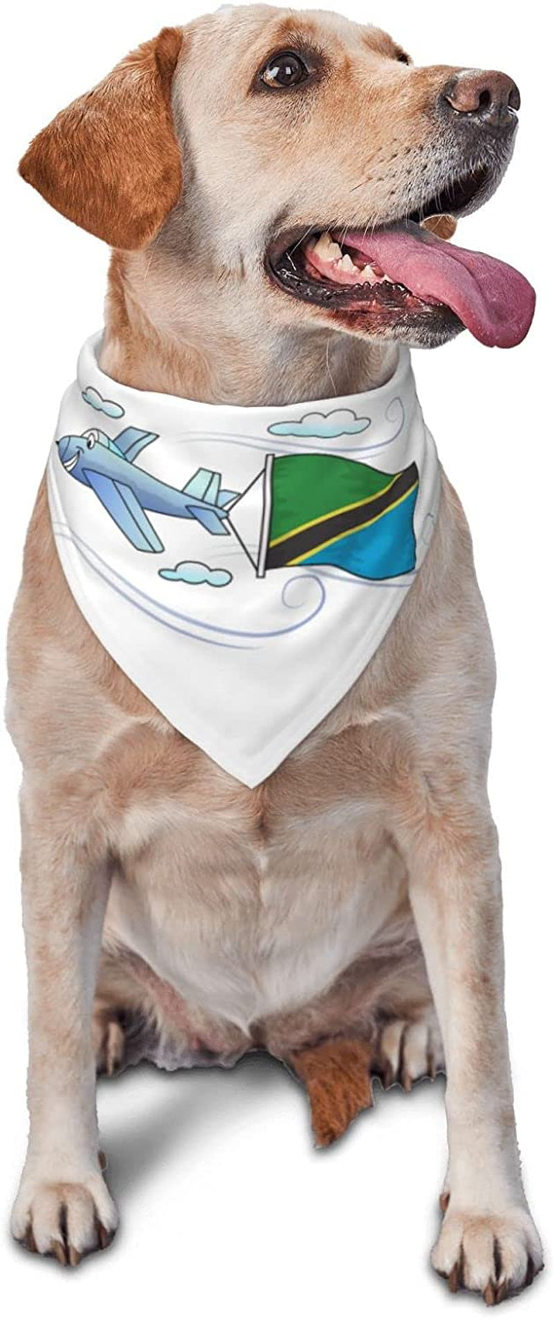 Airplane with Flag of Tanzania Pet Dog and Cat Decorative Triangle Scarf,Dog Bandana,Breathable and Stain Resistant. Animals & Pet Supplies > Pet Supplies > Dog Supplies > Dog Apparel ZALTAS   