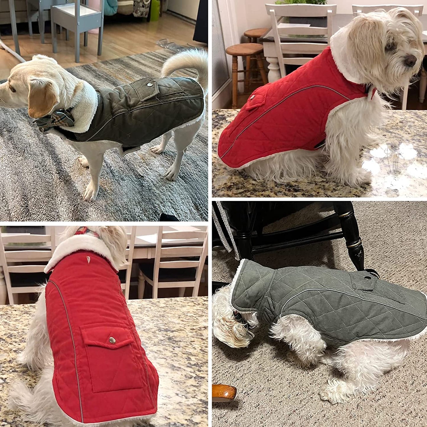 Malier Dog Winter Coat, Windproof Dog Cold Weather Coats with Real Pocket, Winter Dog Extra Warm Coat Dog Fleece Jacket Reflective Dog Clothes for Small Medium Large Dogs and Puppy (Medium, Green) Animals & Pet Supplies > Pet Supplies > Dog Supplies > Dog Apparel Malier   