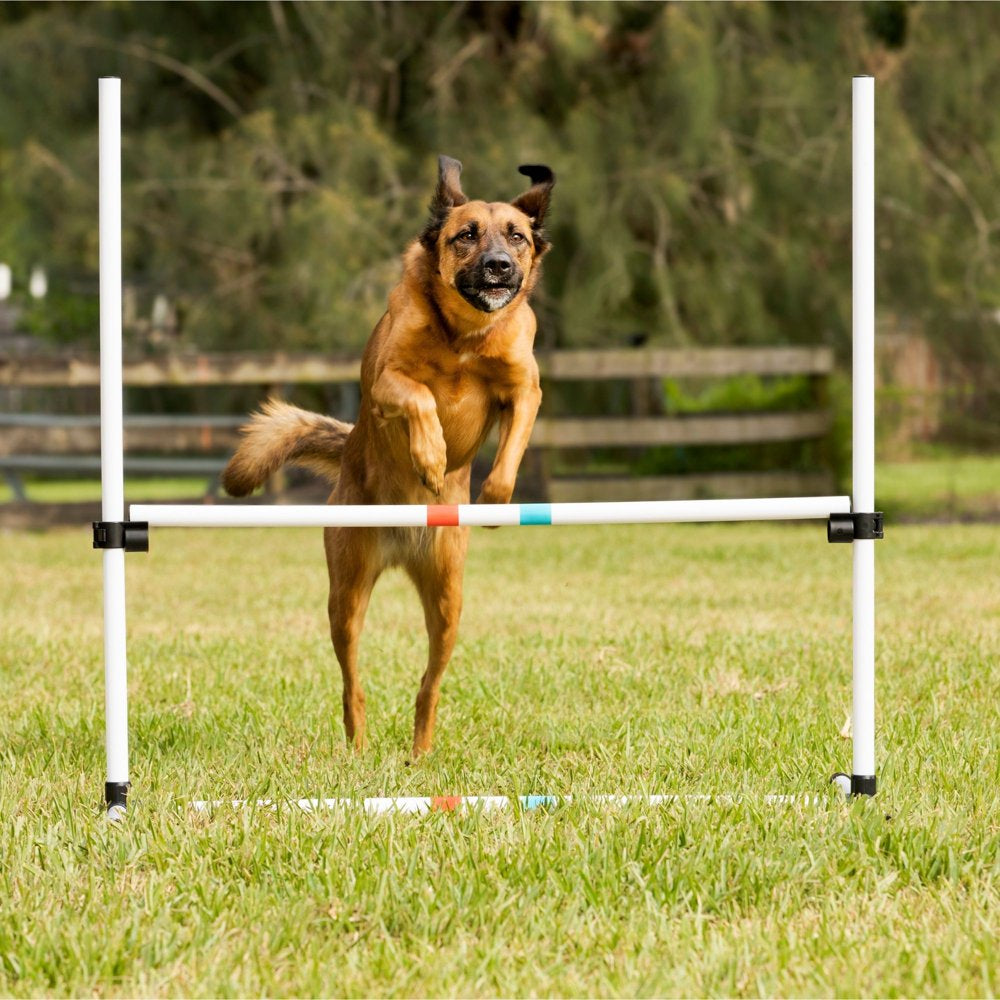 Midlee Dog Agility Bar Jumps- Set of 4 Jumps