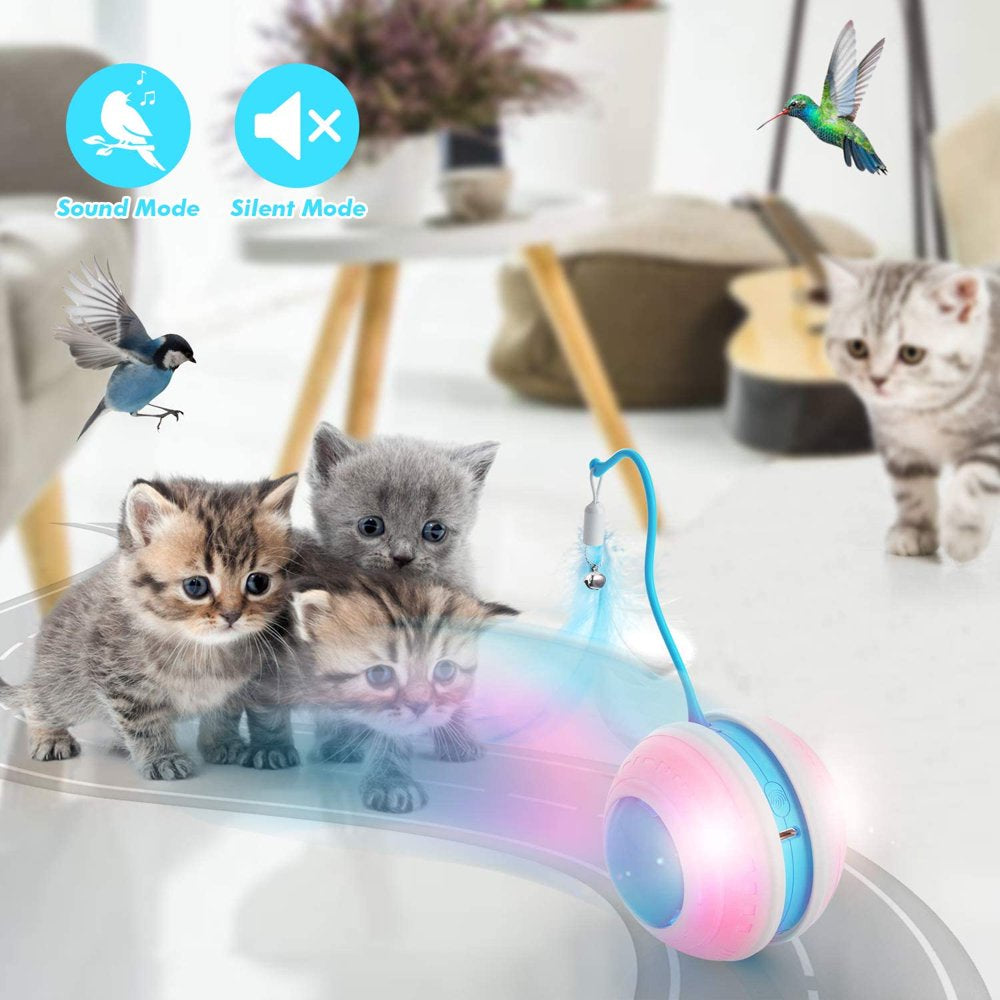 UWANTME Interactive Cat Toys Balls, USB Charging, Automatic 360° Rolling Kitten Toys for Indoor Animals & Pet Supplies > Pet Supplies > Cat Supplies > Cat Toys UWANTME   