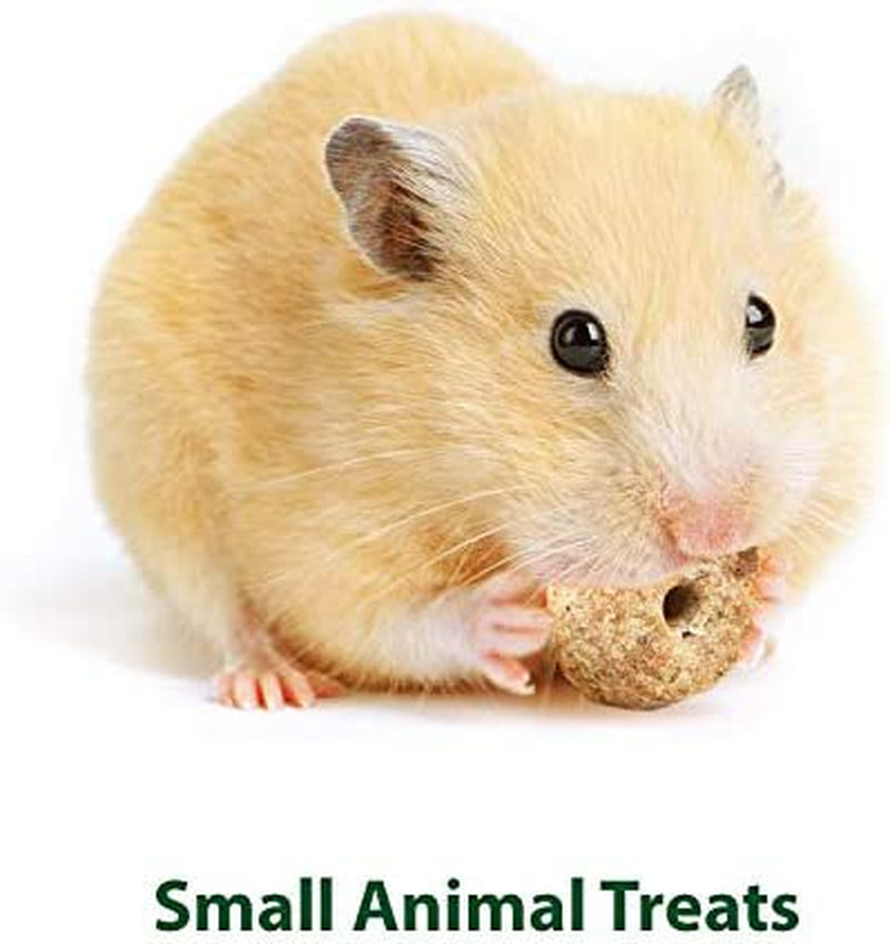 Kaytee Timothy Biscuits Baked Treat for Pet Guinea Pigs, Rabbits & Other Small Animals, Apple, 4 Oz Animals & Pet Supplies > Pet Supplies > Small Animal Supplies > Small Animal Treats Bolanlay LLC   