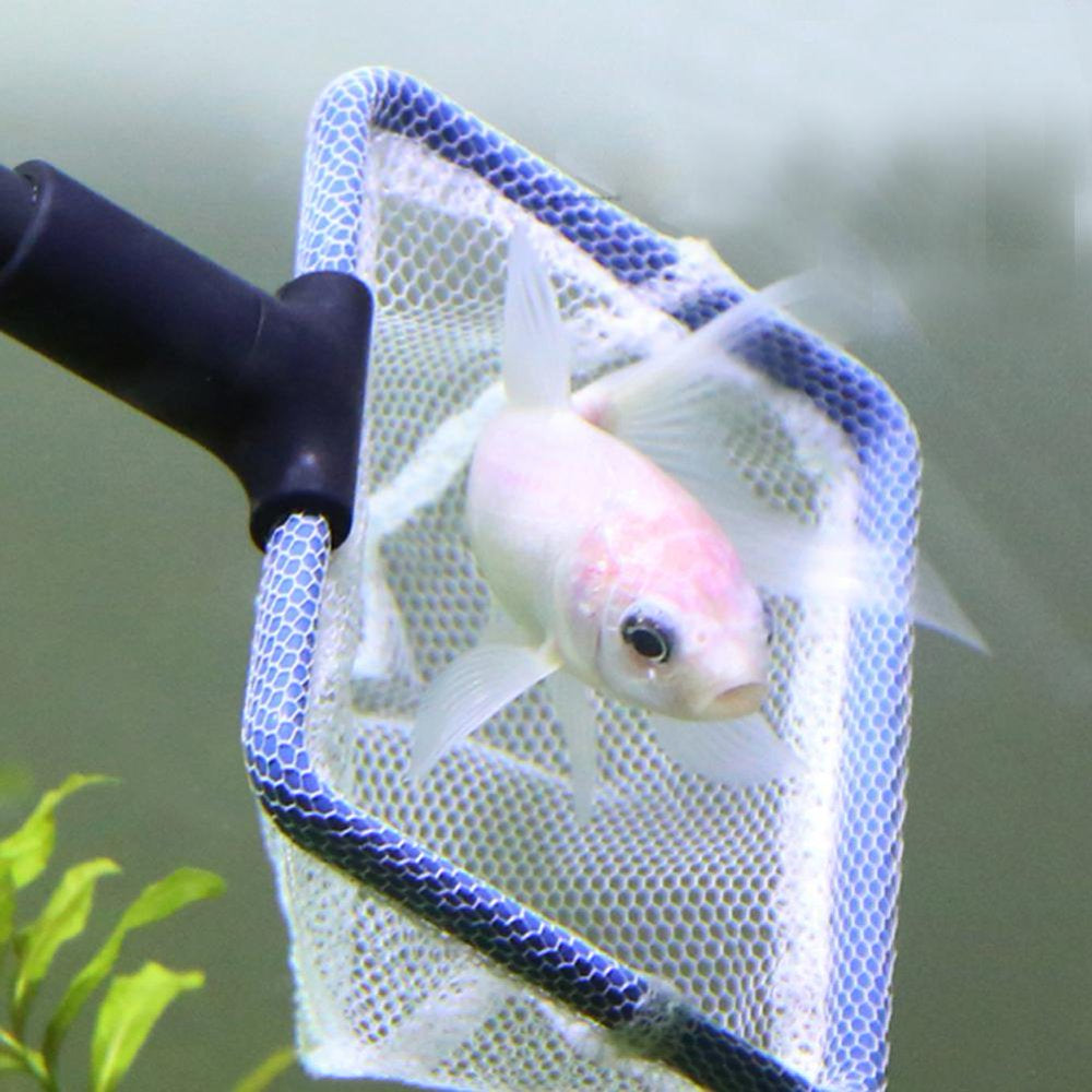 Tissouoy 5 in 1 Glass Fish Tank Aquarium Glass Brush Cleaning Brush Fishnet Cleaner Animals & Pet Supplies > Pet Supplies > Fish Supplies > Aquarium Fish Nets Tissouoy   