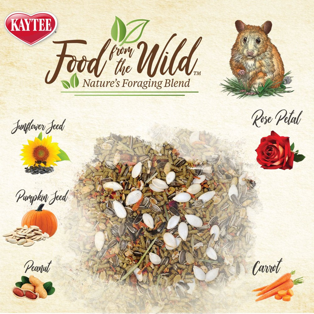 Kaytee Food from the Wild Hamster Animals & Pet Supplies > Pet Supplies > Small Animal Supplies > Small Animal Food Central Garden and Pet   