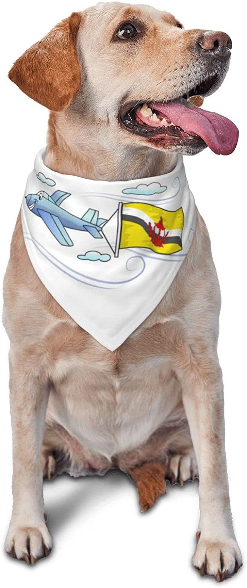 Airplane with Flag Brunei Pet Dog and Cat Decorative Triangle Scarf,Dog Bandana,Breathable and Stain Resistant. Animals & Pet Supplies > Pet Supplies > Dog Supplies > Dog Apparel ZALTAS   