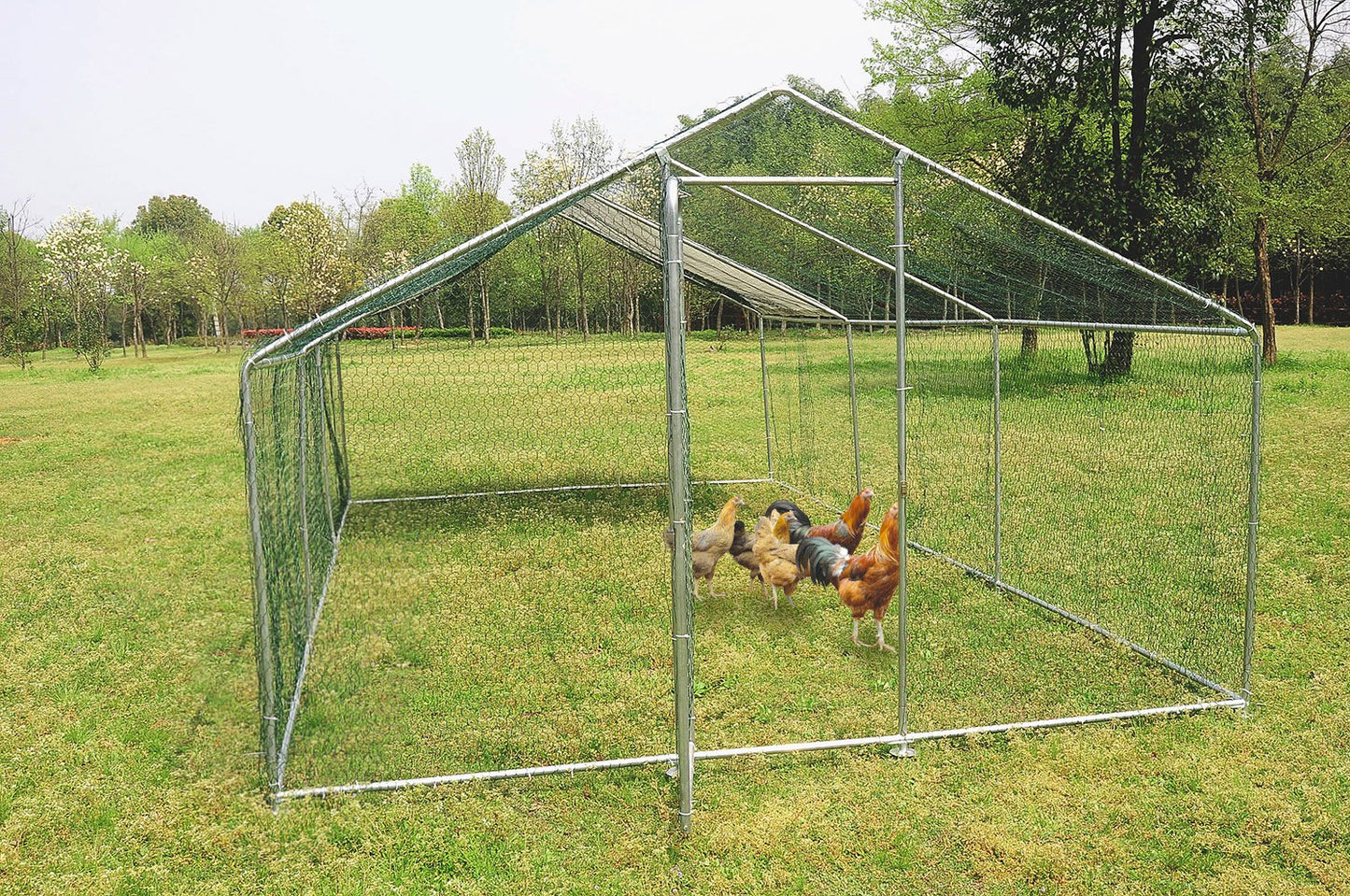 Walsport 10X10Ft Chicken Run Coop Walk in for Poultry Rabbit Hen Cage Pen Heavy Duty Metal Design with Door Animals & Pet Supplies > Pet Supplies > Dog Supplies > Dog Kennels & Runs Walsport   