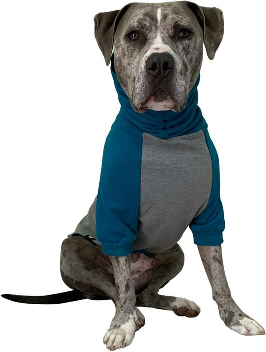 Tooth & Honey Large Dog Sweater/Pitbull/Large/Medium/X Large Dog Sweater Dog Sweatshirt/Teal & Grey (X-Large) Animals & Pet Supplies > Pet Supplies > Dog Supplies > Dog Apparel Tooth & Honey X-Large  