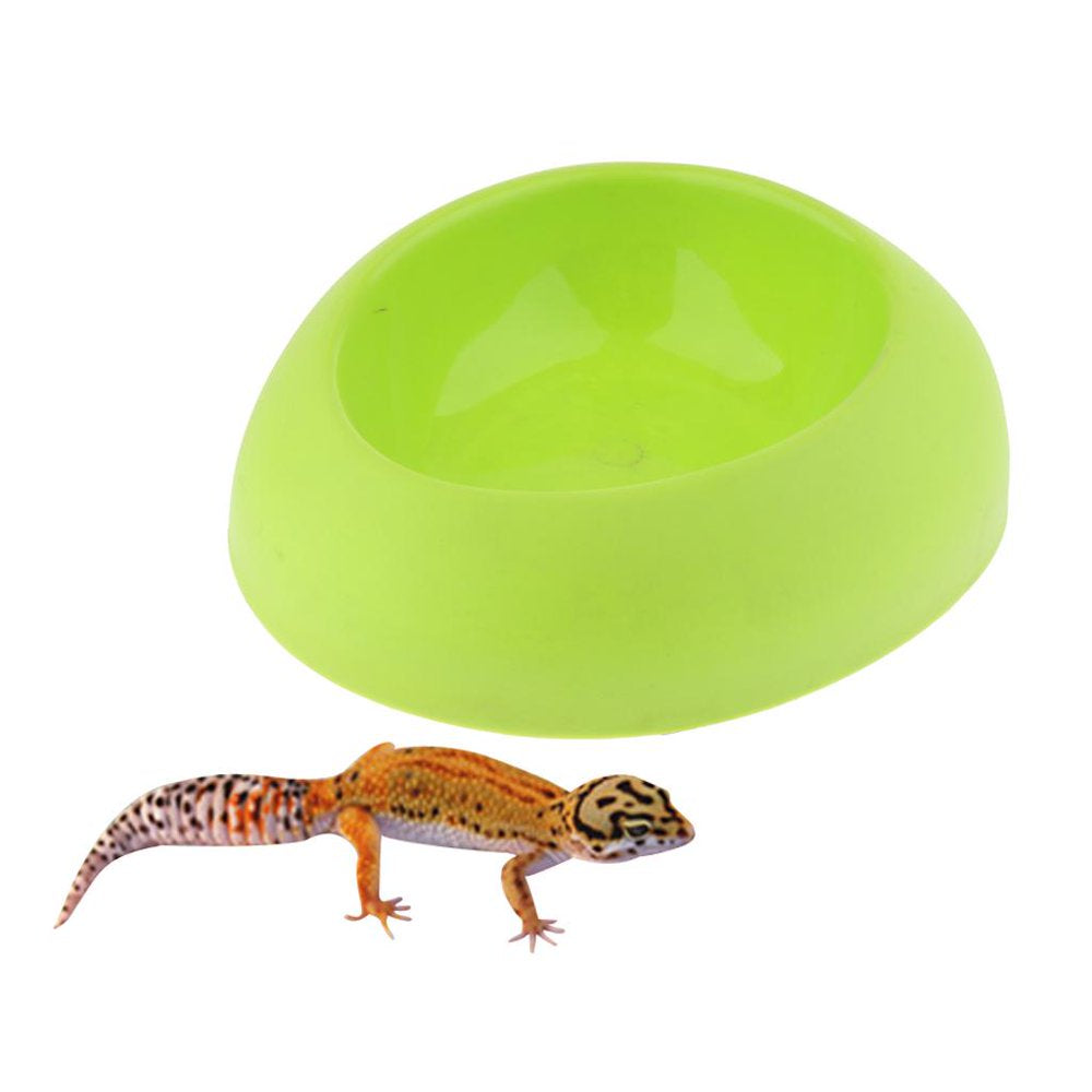 Food Bowl Resin Feeder Water Dish for Tortoise Gecko Reptile Cup Feeding Bowl Turtle Amphibian Feeding Container Random Animals & Pet Supplies > Pet Supplies > Reptile & Amphibian Supplies > Reptile & Amphibian Food FITYLE   