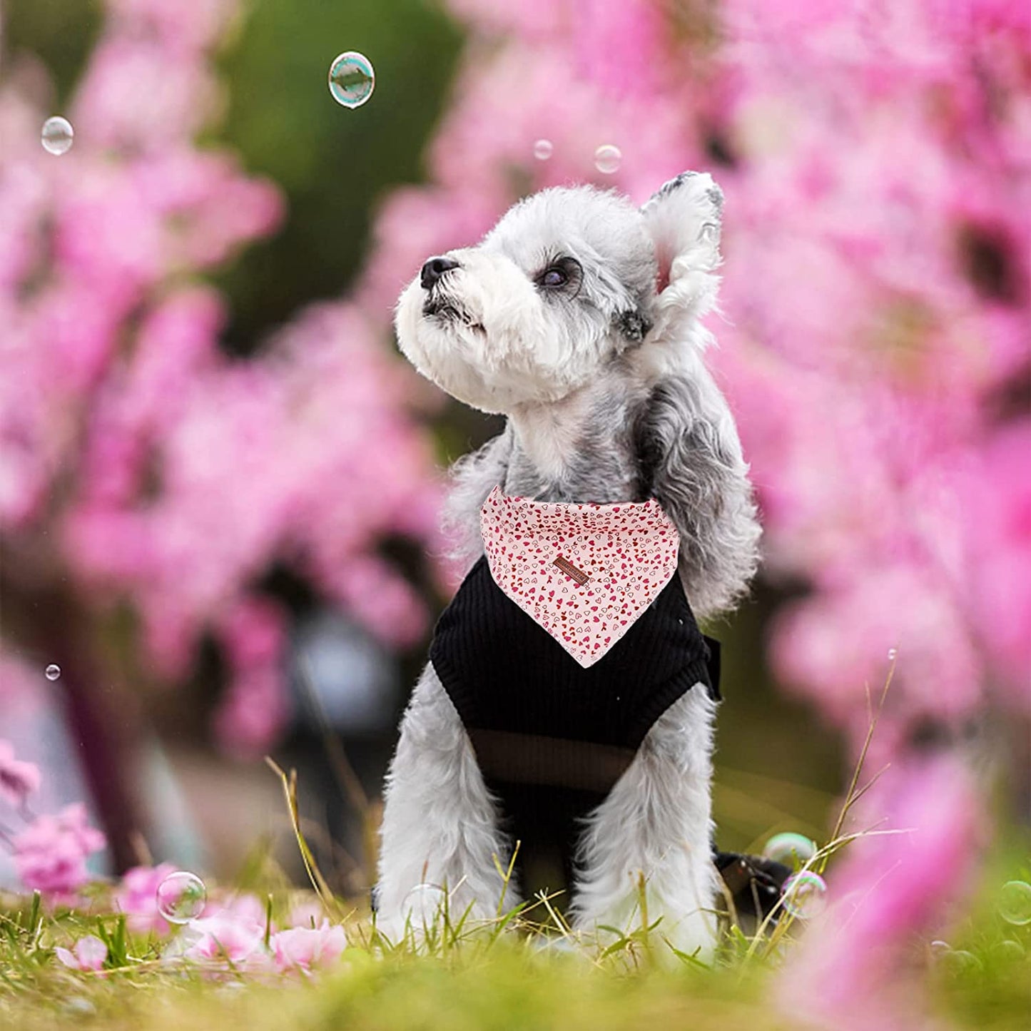 Elegant Little Tail Valentine Dog Bandana, Pet Dog Bibs Scarf, Soft Adjustable Square Dog Kerchief for Small Dogs Animals & Pet Supplies > Pet Supplies > Dog Supplies > Dog Apparel Elegant little tail   