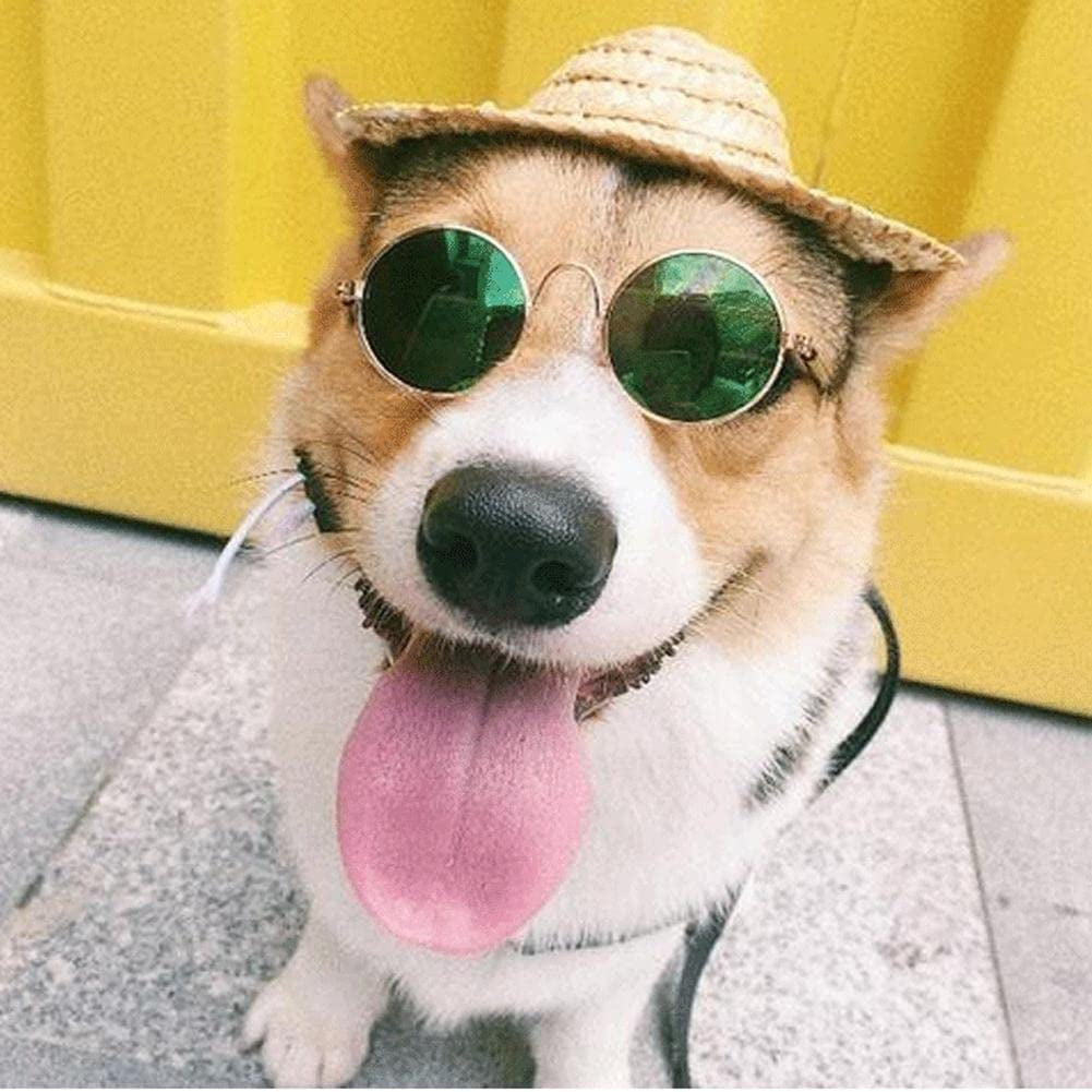 Small Pet Sunglasses Dog Cat Pet Lovely Vintage round Reflection Eye Wear Glasses Dog Cat Cosplay Party Costume Classic Funny Pet Accessories for Pet Animals & Pet Supplies > Pet Supplies > Dog Supplies > Dog Apparel Generic   