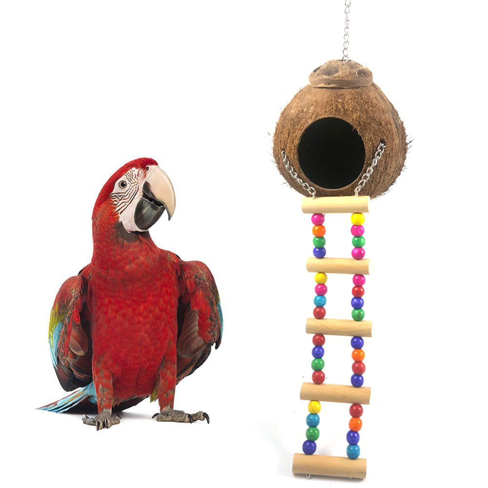 Pet Enjoy Hanging Coconut Bird Nest Hut with Ladder,Coconut Hide Bird Swing Toys for Hamster,Bird Cage Accessories,Small Animals House Pet Cage Habitats Decor Animals & Pet Supplies > Pet Supplies > Small Animal Supplies > Small Animal Habitats & Cages Pet Enjoy   
