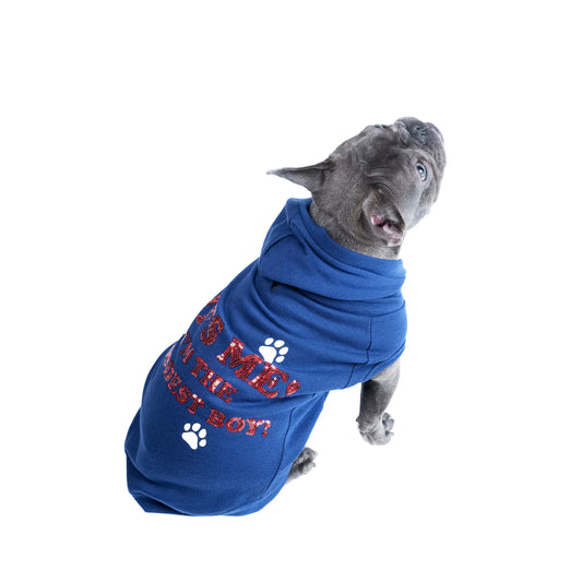 JOLLY KNITS DOG HOODIE- Who'S a Good Boy? - Medium Animals & Pet Supplies > Pet Supplies > Dog Supplies > Dog Apparel Major Label Group S  