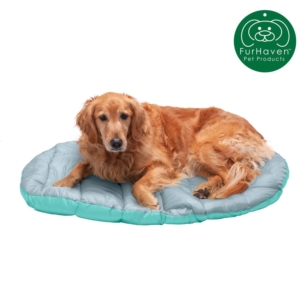 Furhaven Pet Dog Bed, Trail Pup Packable Stuff Sack Travel Pillow Bed with Bag for Dogs & Cats, Aqua & Granite Gray, Large Animals & Pet Supplies > Pet Supplies > Cat Supplies > Cat Beds FurHaven Pet L Aqua & Granite Gray 