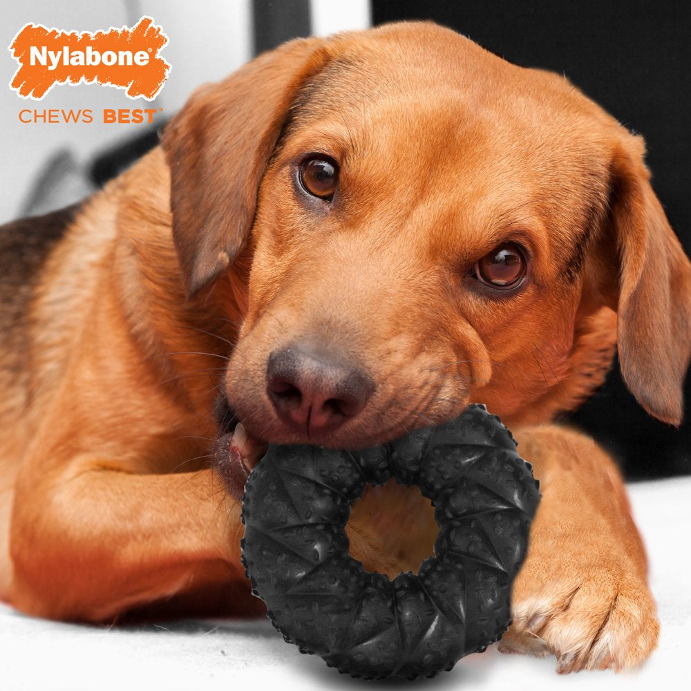 Nylabone Strong Max Braided Dog Ring Chew Toy - up to 35 Lbs. Animals & Pet Supplies > Pet Supplies > Dog Supplies > Dog Toys Central Garden and Pet   