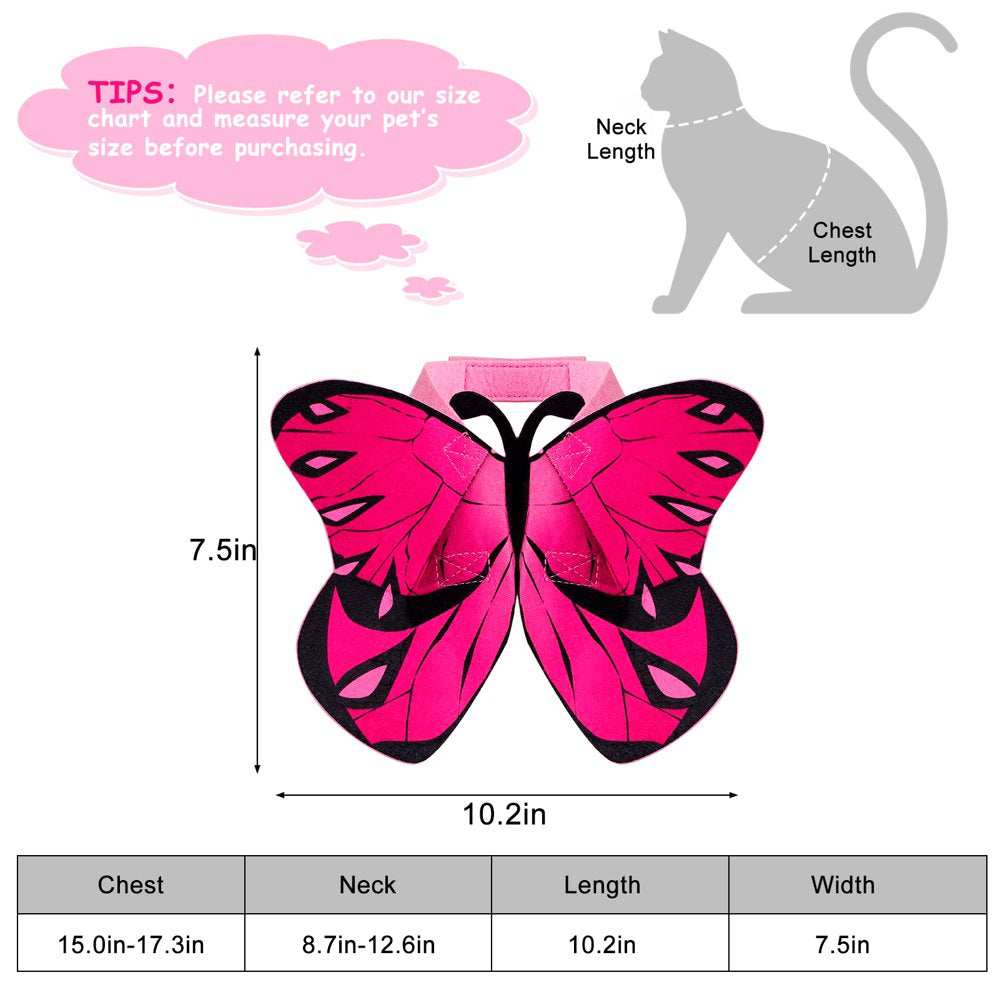 Legendog Halloween Pet Butterfly Costume Decorative Adjustable Flying Butterfly Wing Apparel with Cat Collar for Small Dogs Cats Animals & Pet Supplies > Pet Supplies > Cat Supplies > Cat Apparel Legendog   
