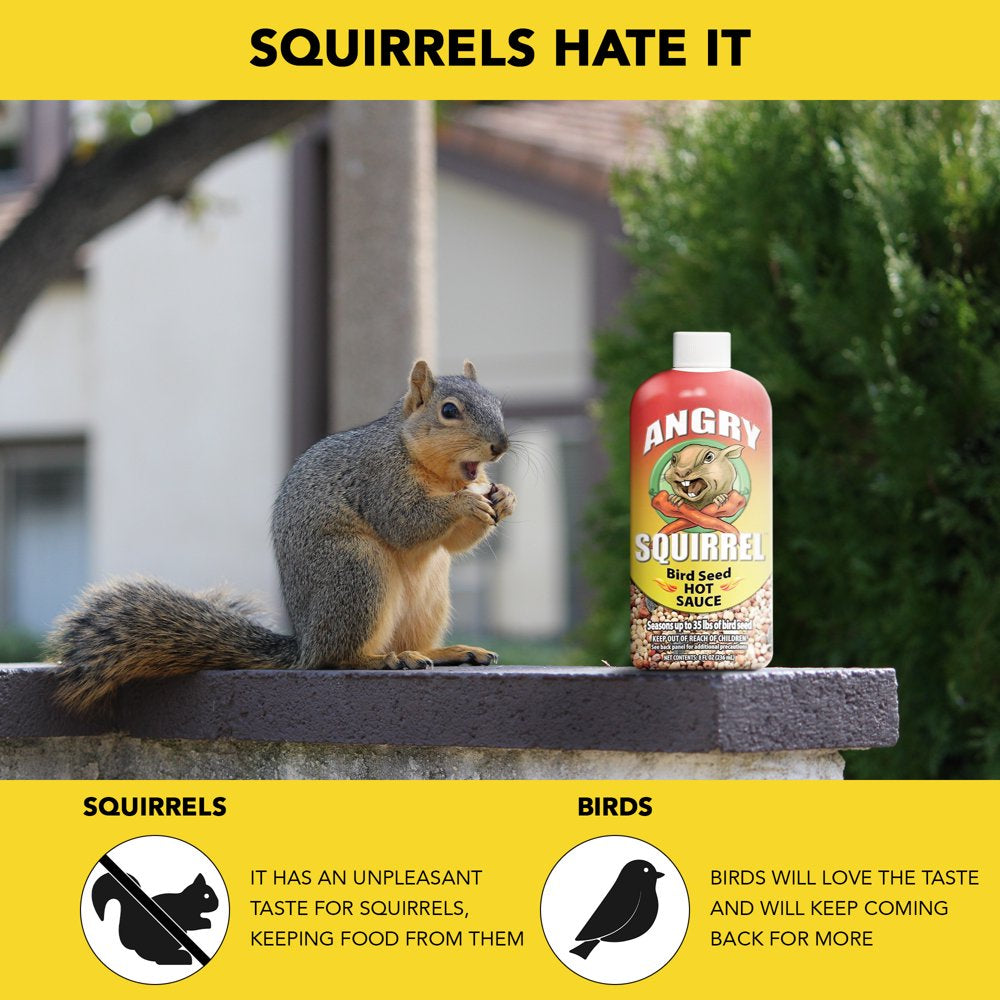 Angry Squirrel Bird Seed Hot Sauce 8 Oz. Animals & Pet Supplies > Pet Supplies > Bird Supplies > Bird Food PF Harris Mfg. Co. LLC   