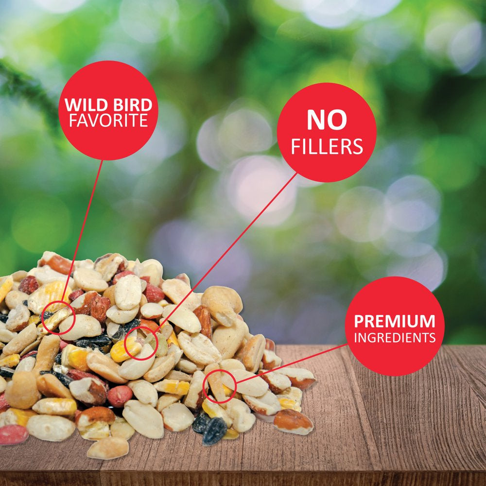 Lyric Fruit and Nut Wild Bird Seed, High Energy Wild Bird Food Mix, 5