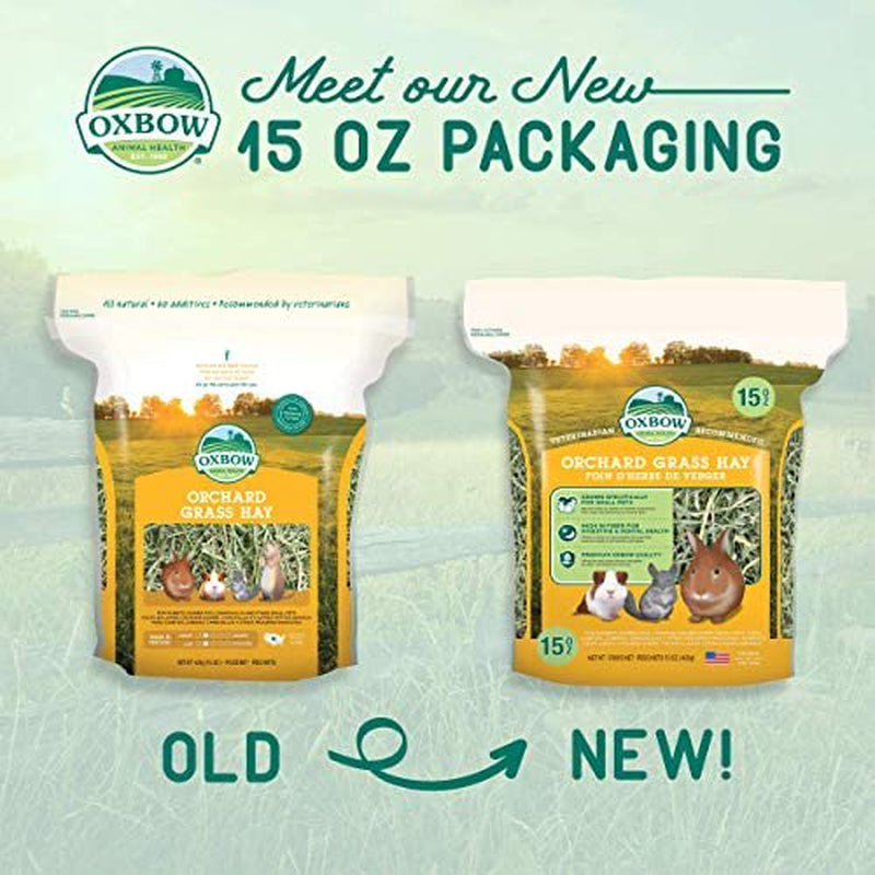 Oxbow Animal Health Orchard Grass Hay - All Natural Grass Hay for Chinchillas, Rabbits, Guinea Pigs, Hamsters & Gerbils - 15 Oz. Animals & Pet Supplies > Pet Supplies > Small Animal Supplies > Small Animal Food Rehoboth Tradings LLC   