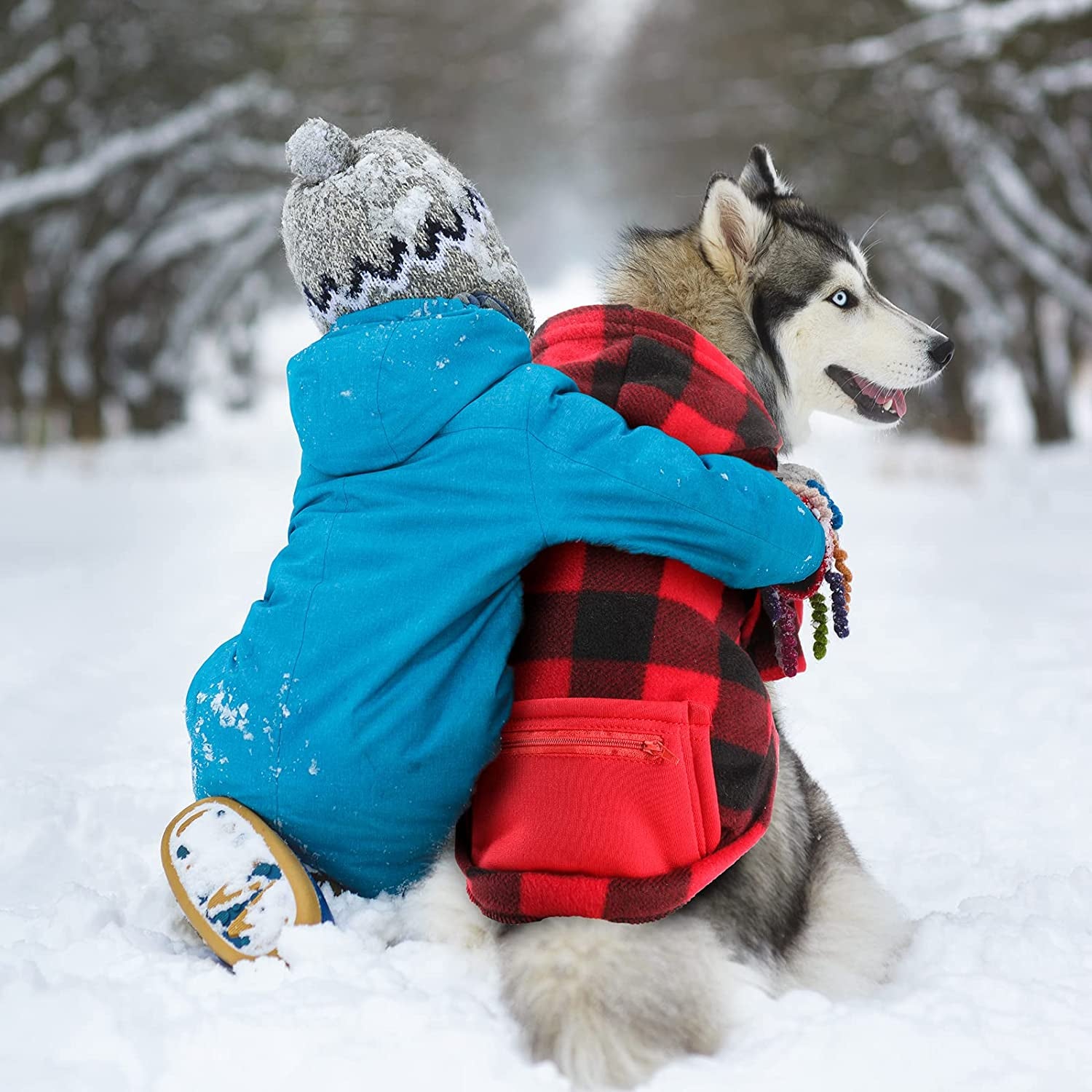 Saintrygo 4 Pieces Dog Hoodie Christmas Winter Warm Clothing with Pockets for Small Dogs Sweater Hood Sweaters Hat Chihuahua Coat Puppy Cat Custume (Plaid, Large), Blue,White Animals & Pet Supplies > Pet Supplies > Dog Supplies > Dog Apparel Saintrygo   