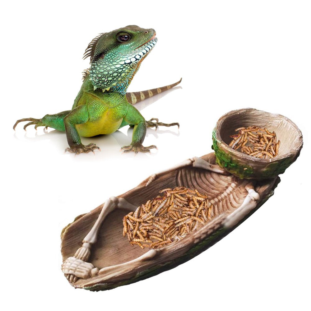 Heroneo Skeleton Reptile Food Bowl Amphibian Pet Cage Rock Decoration Water Injection