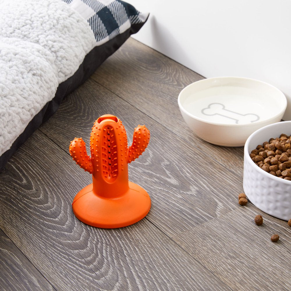 Vibrant Life Dental Suction Dog Toy, Cactus, Medium, Orange Animals & Pet Supplies > Pet Supplies > Dog Supplies > Dog Toys Vibrant Life   