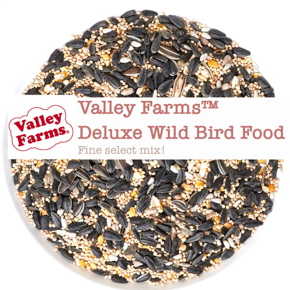 Valley Farms Deluxe Blend Wild Bird Food Animals & Pet Supplies > Pet Supplies > Bird Supplies > Bird Food Valley Farms   