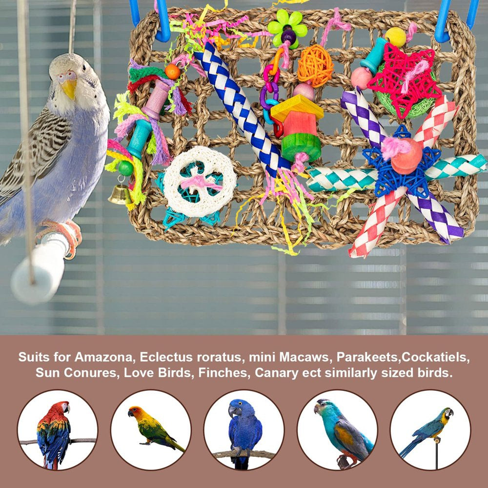 Bird Foraging Wall Toy Seagrass Woven Mat with Colorful Wooden Blocks Chew Toys