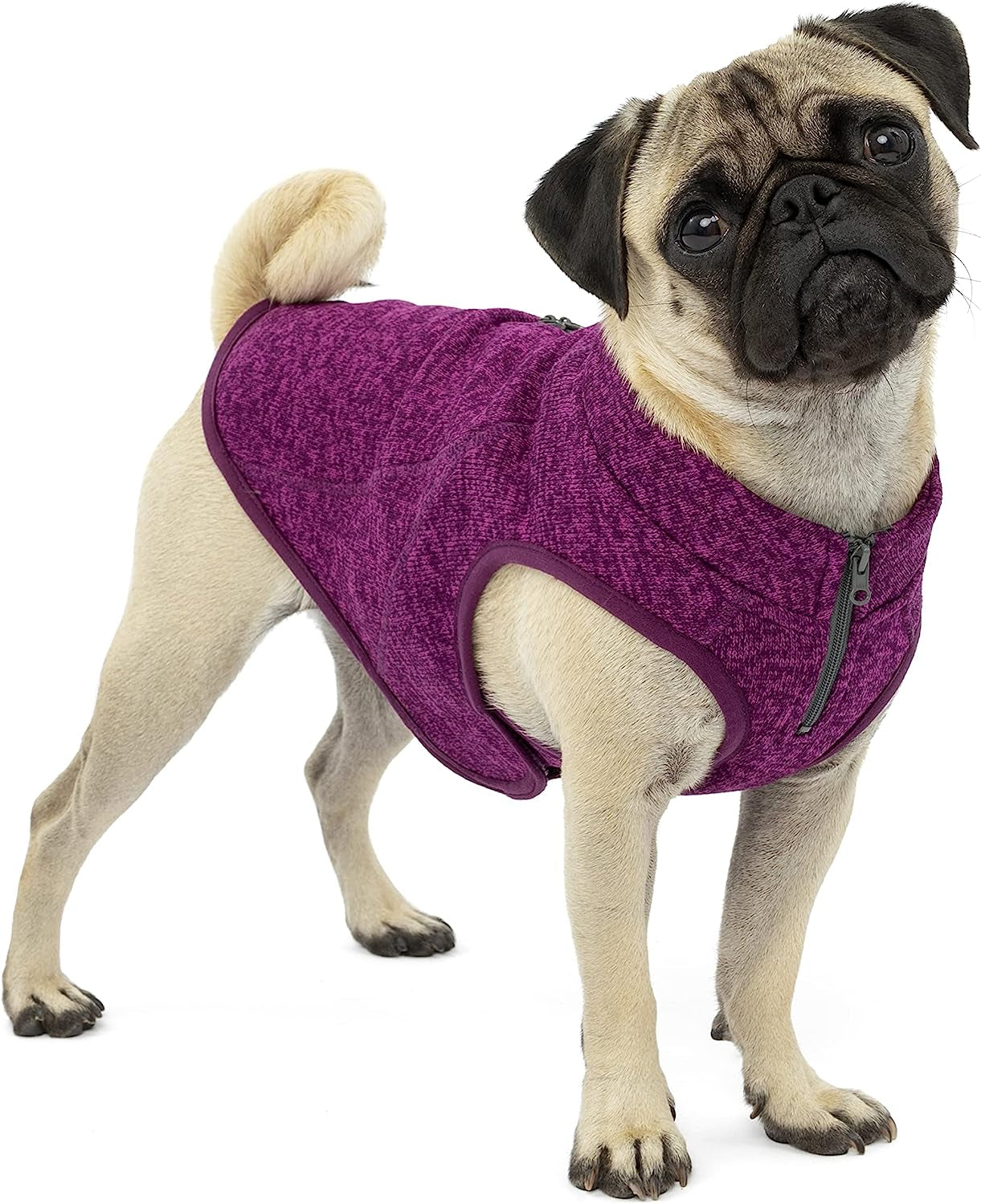 Kurgo K9 Core Dog Sweater | Year-Round Sweater for Dogs | Dog Fleece Vest | Knit Fleece Pet Jacket | Fleece Lining | Lightweight | Zipper Opening for Harness | Adjustable Neck | Black | Medium Animals & Pet Supplies > Pet Supplies > Dog Supplies > Dog Apparel Radio Systems Corporation Heather Violet Extra Small 