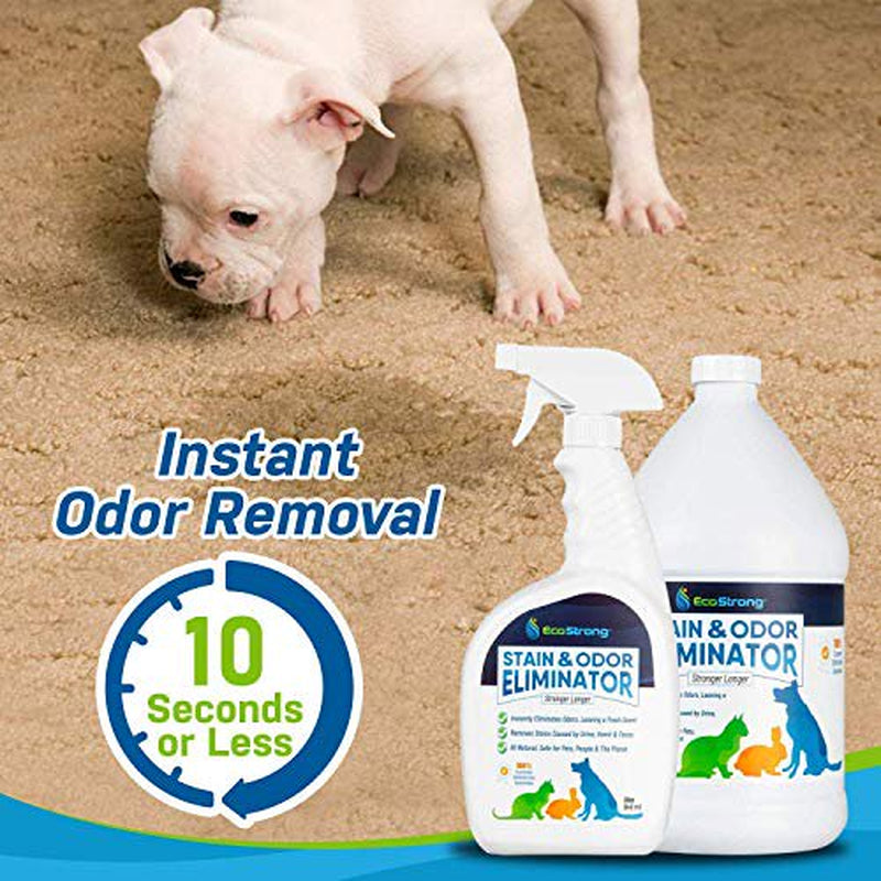 Pet Stain and Odor Remover - Powerful Enzymatic Urine Eliminator, for Cats & Dogs I by Eco Strong: 1 Gallon Value Size Animals & Pet Supplies > Pet Supplies > Dog Supplies > Dog Kennels & Runs Eco Strong   