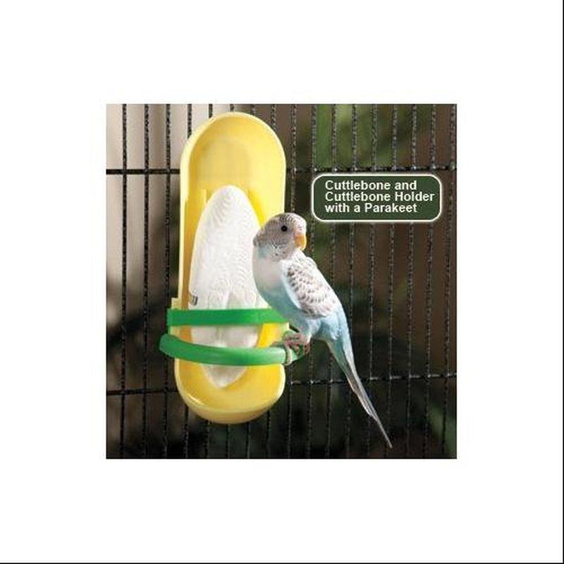 Prevue Cuttlebone Birdie Basics Small 4 Long Animals & Pet Supplies > Pet Supplies > Bird Supplies > Bird Treats Prevue Pet   