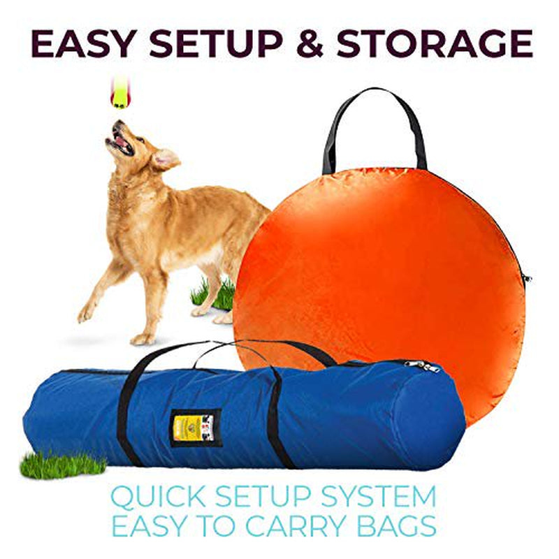 CHEERING PET, Dog Agility Training Equipment, 4 Piece Dog Obstacle Course Includes Dog Jump, Tire Jump, Pause Box and Weave Poles with Carrying Case, Indoor or Outdoor Dog Agility Training Animals & Pet Supplies > Pet Supplies > Dog Supplies > Dog Treadmills Sun Biomass   