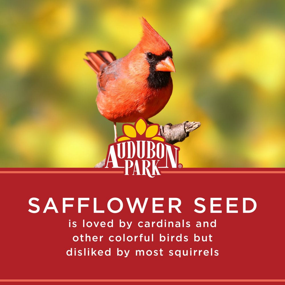 Audubon Park Safflower Seed Wild Bird Food, New, 5 Lb. Bag Animals & Pet Supplies > Pet Supplies > Bird Supplies > Bird Food Global Harvest Foods Ltd.   