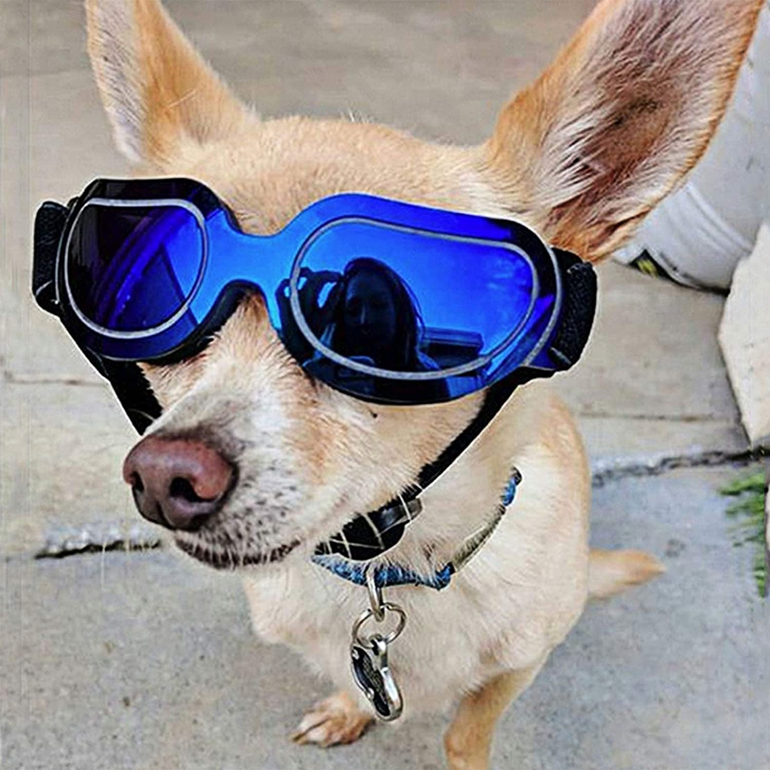 Adonpshy Protection -Fog Dog Cat Sunglasses Goggles Eyewear Pet Black Animals & Pet Supplies > Pet Supplies > Dog Supplies > Dog Apparel adonpshy   