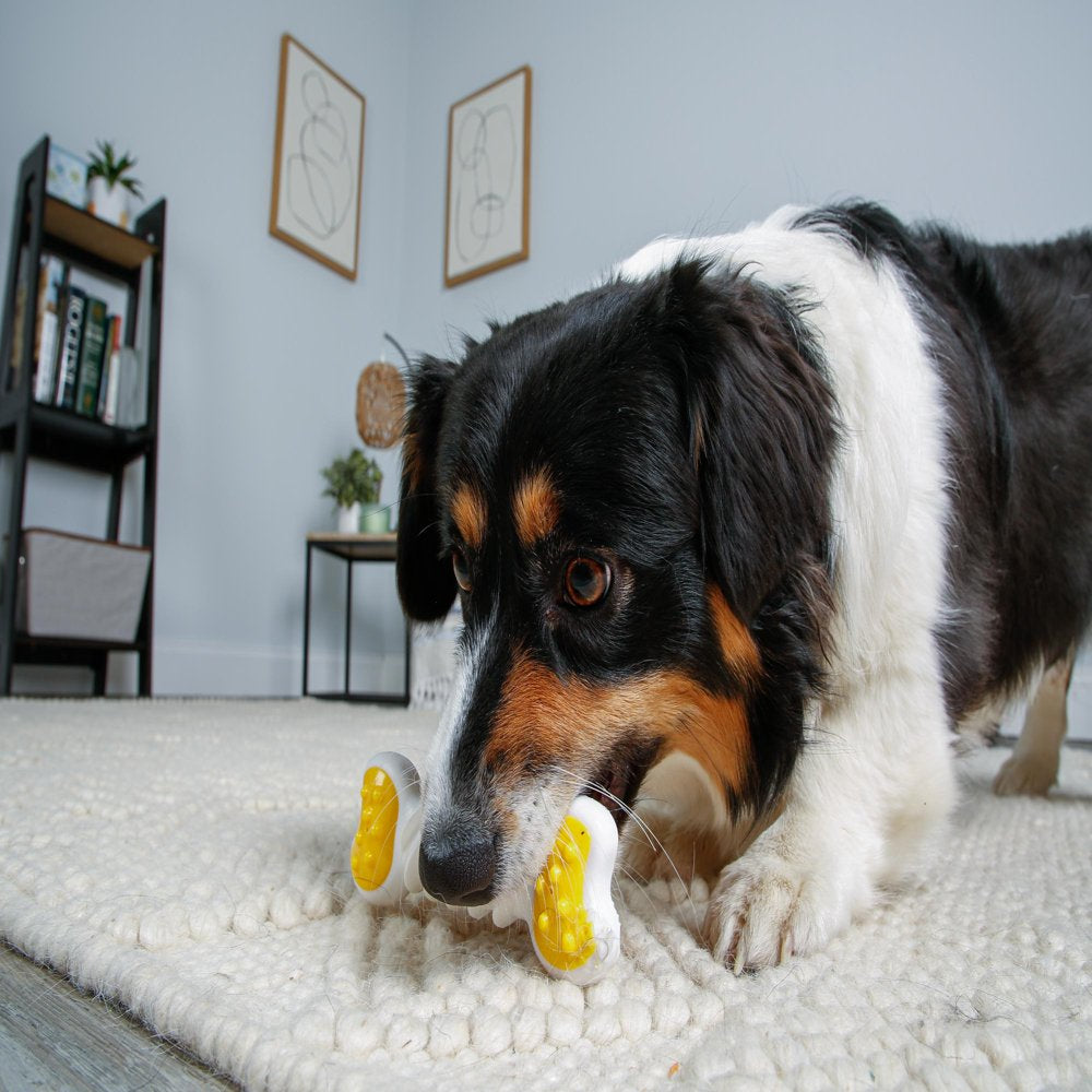 Hartz Chew N Clean Twisty Bone Dog Toy, Small/Medium Animals & Pet Supplies > Pet Supplies > Dog Supplies > Dog Treats Hartz Mountain Corp.   