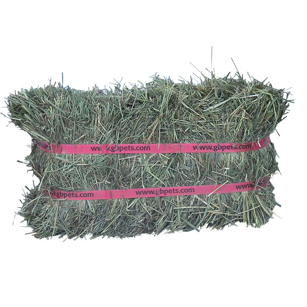 Grandpa'S Best Certified Organic Prairie Grass Hay Mini Bale for Small Animals - 40Oz Animals & Pet Supplies > Pet Supplies > Small Animal Supplies > Small Animal Food Grandpa's Best LLC   