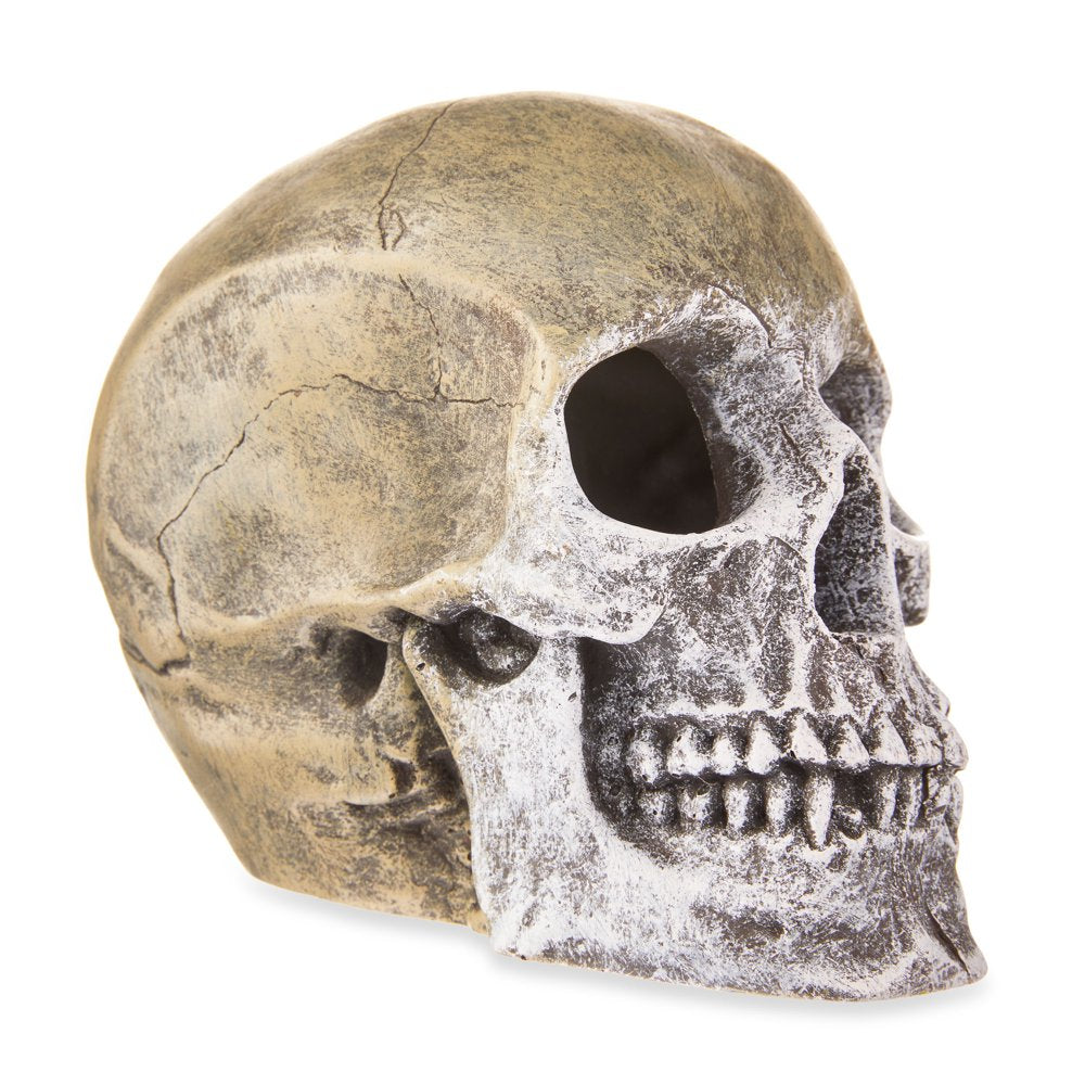 Aqua Culture Human Skull Aquarium Ornament Animals & Pet Supplies > Pet Supplies > Fish Supplies > Aquarium Decor Wal-Mart Stores, Inc.   