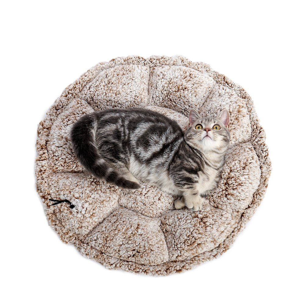 Petals-Shaped Pet Bed Soft 38.2"X 38.2" for Cats and Dogs,Large Animals & Pet Supplies > Pet Supplies > Cat Supplies > Cat Beds PAWZ Road L 38.2"X38.2" Beige 