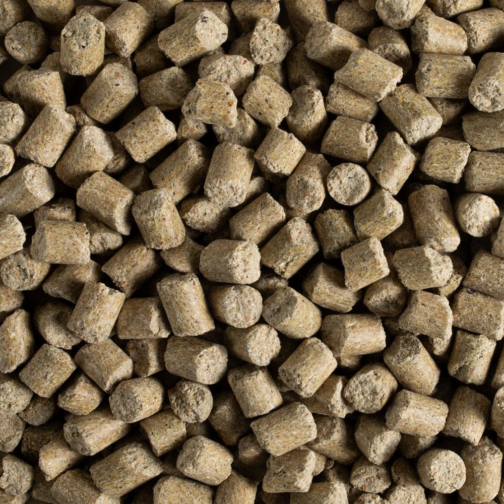 Kaytee Pro Health Mouse, Rat, and Hamster Food 5 Lb Animals & Pet Supplies > Pet Supplies > Small Animal Supplies > Small Animal Food Central Garden and Pet   