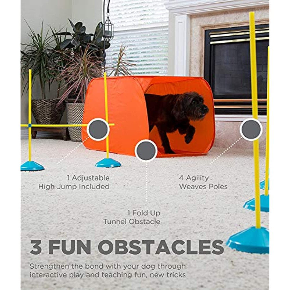 Outward Hound Dog Agility Starter Kit Indoor Animals & Pet Supplies > Pet Supplies > Dog Supplies > Dog Treadmills Outward Hound   