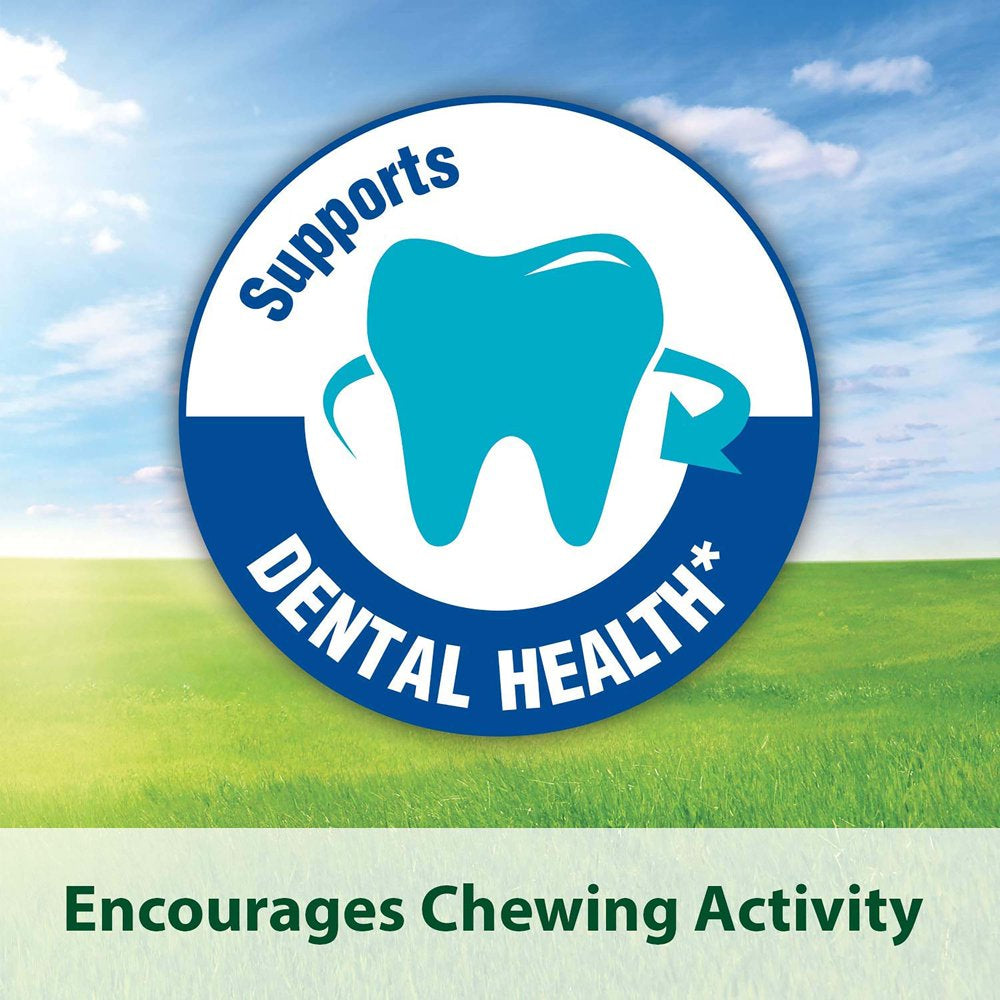 Kaytee Timothy Complete Guinea Pig Pet Food, 5 Pounds Animals & Pet Supplies > Pet Supplies > Small Animal Supplies > Small Animal Food Central Garden and Pet   