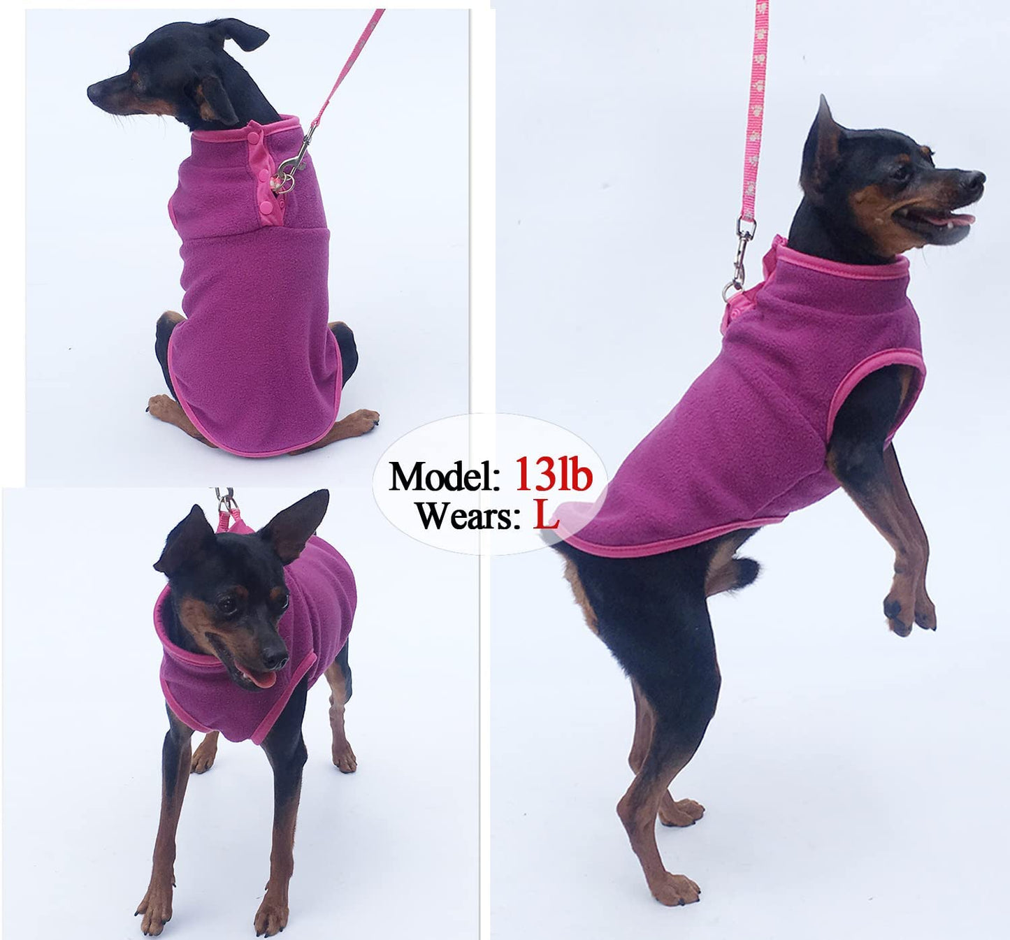 2 Pack Dog Fleece Vest Sweater, Warm Pullover Fleece Puppy Jacket, Autumn Winter Cold Weather Coat Clothes, Pet Stretch Fleece Apparel with Buttons Costumes for Small Medium Dogs Cats (Small) Animals & Pet Supplies > Pet Supplies > Dog Supplies > Dog Apparel Tealots   