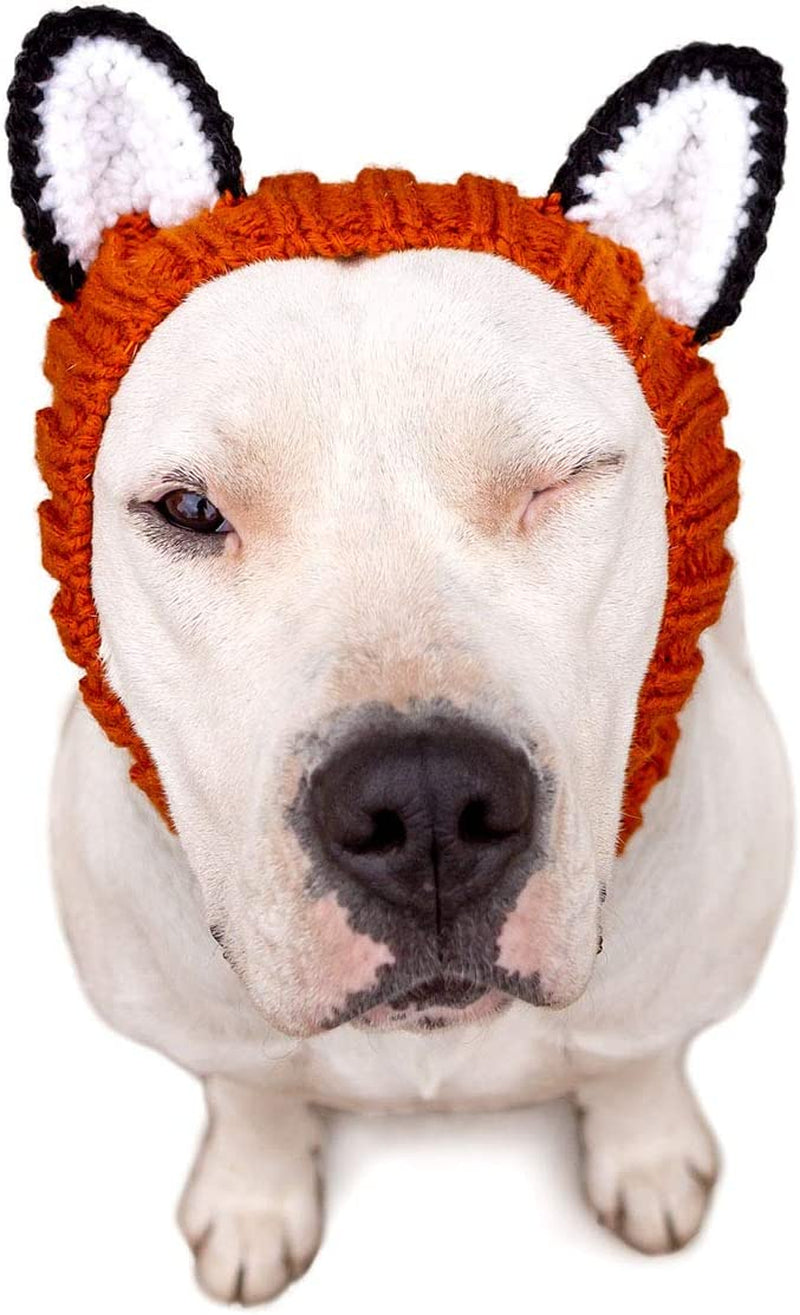 Zoo Snoods Fox Costume for Dogs, Large - Warm No Flap Ear Wrap Hood for Pets, Dog Outfit with Ears for Winters, Halloween, Christmas & New Year, Soft Yarn Ear Covers Animals & Pet Supplies > Pet Supplies > Dog Supplies > Dog Apparel Zoo Snoods 1 Large 