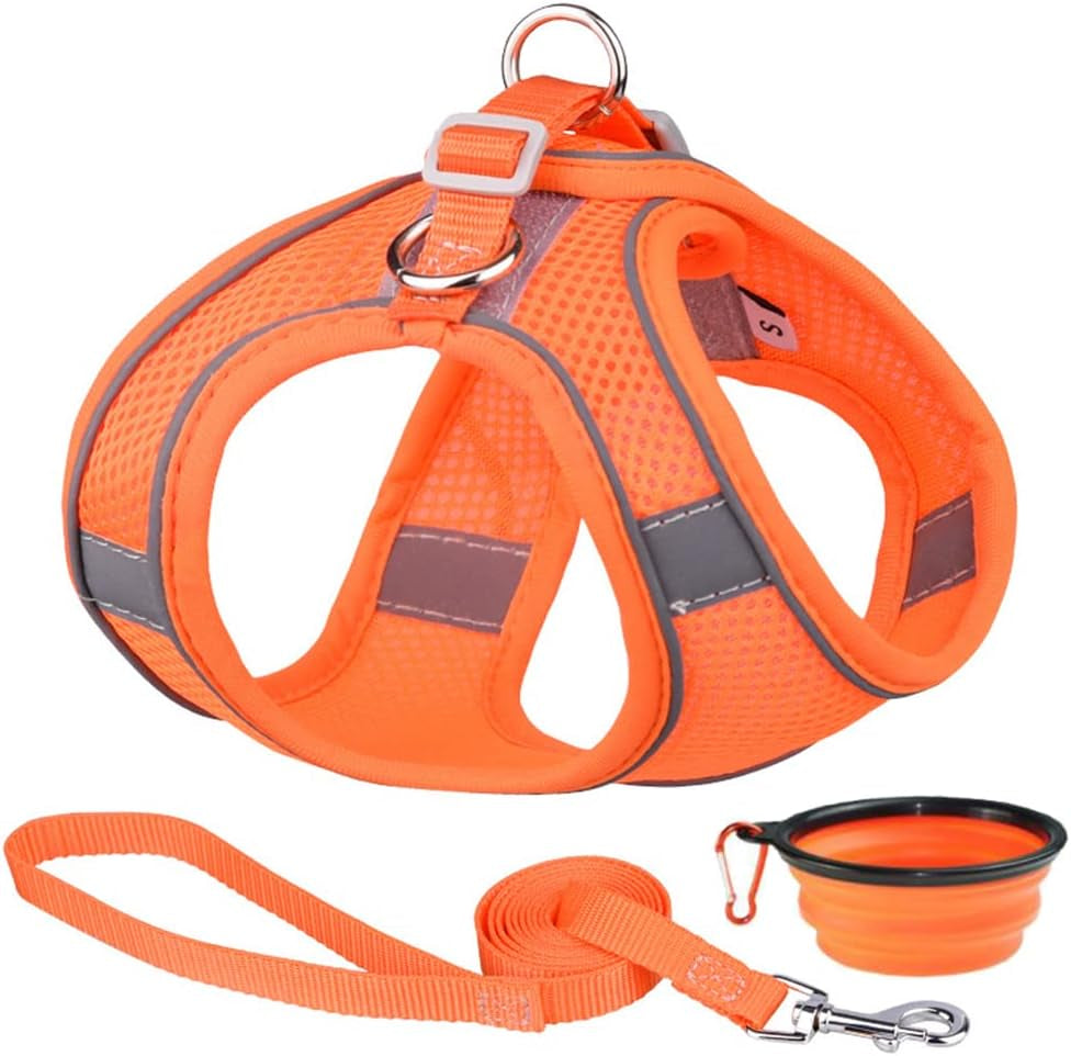 Dog Harness and Leash Set Reflective Pet Puppy Vest Harnesses Adjustable Step in Soft Mesh for Medium Girl Boy Cats Kitten Orange Animals & Pet Supplies > Pet Supplies > Dog Supplies > Dog Apparel Weimostar Orange L 